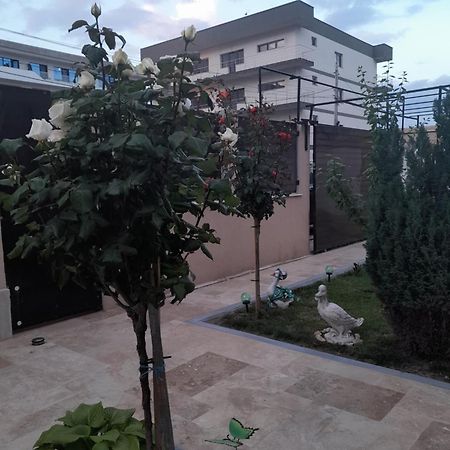Casa Andrei Apartment Navodari Exterior photo