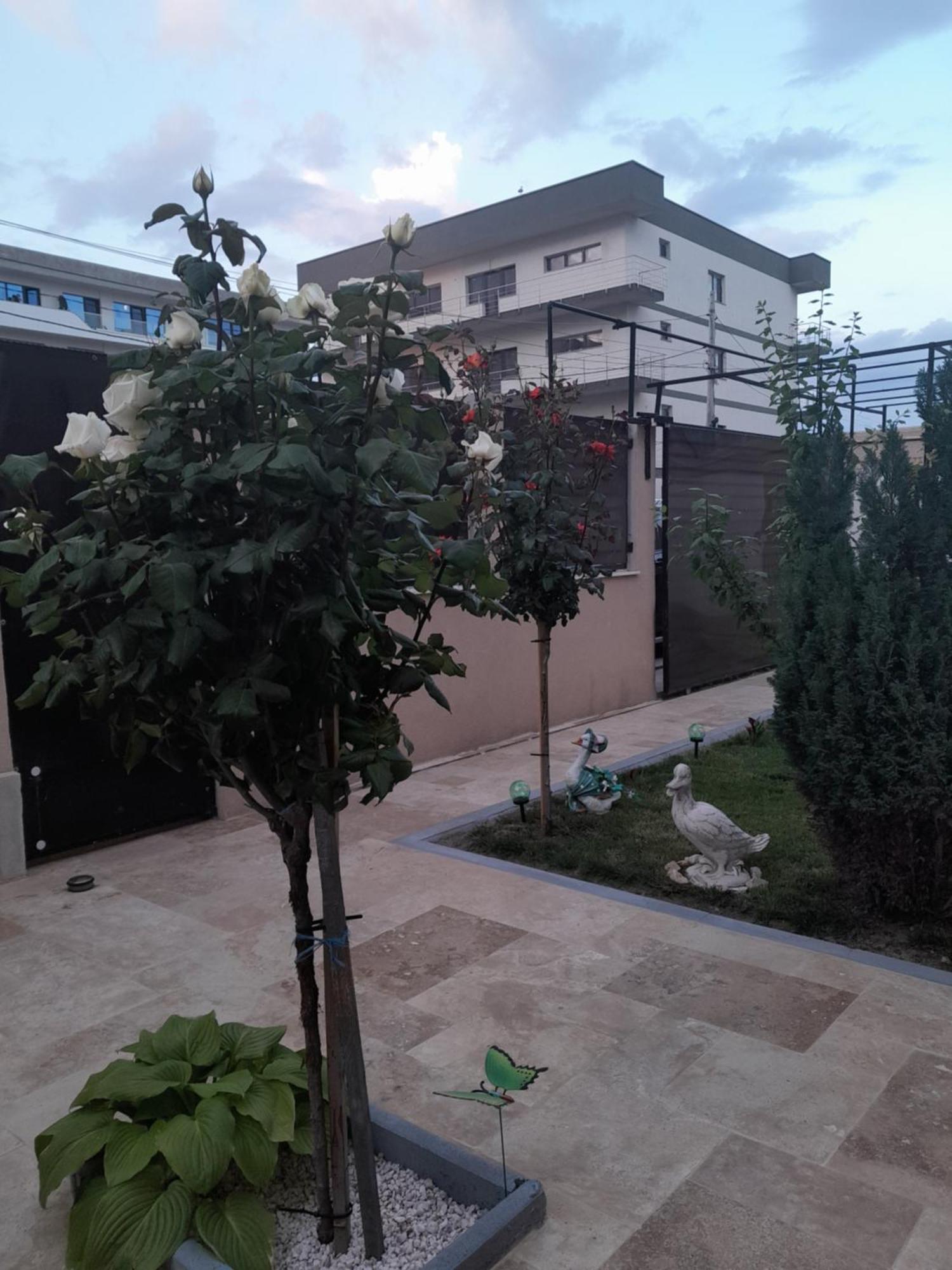 Casa Andrei Apartment Navodari Exterior photo